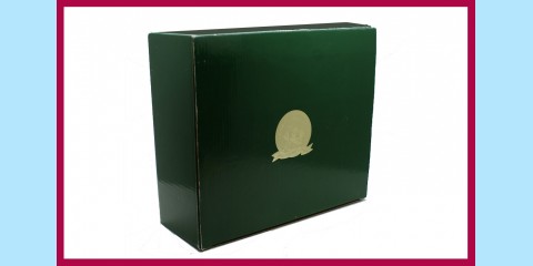 KING AND COUNTRY: AK020 - AFRIKA CORP - DESERT DEMAG - HALF-TRACK - NEW